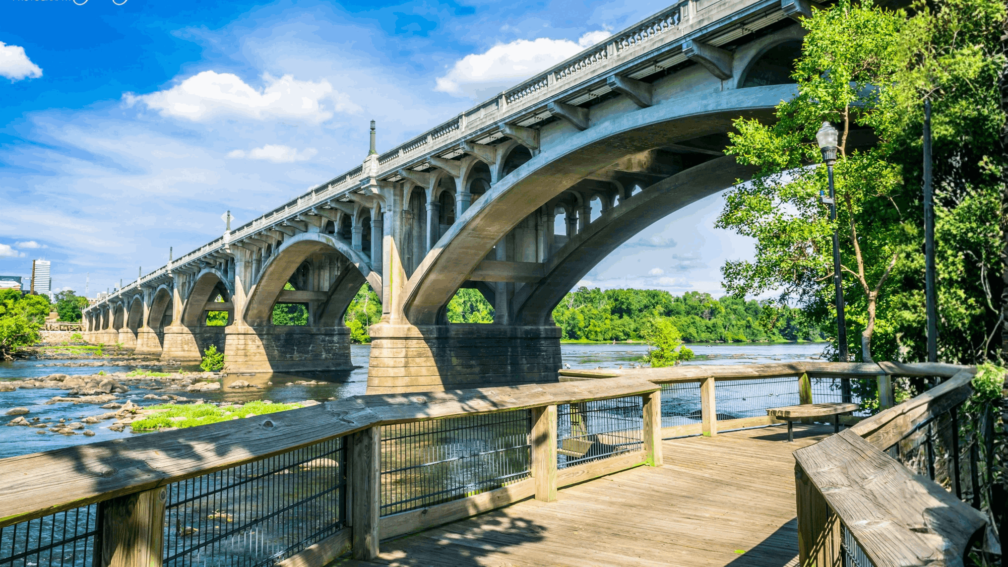tzedi-co-south-carolina-realty