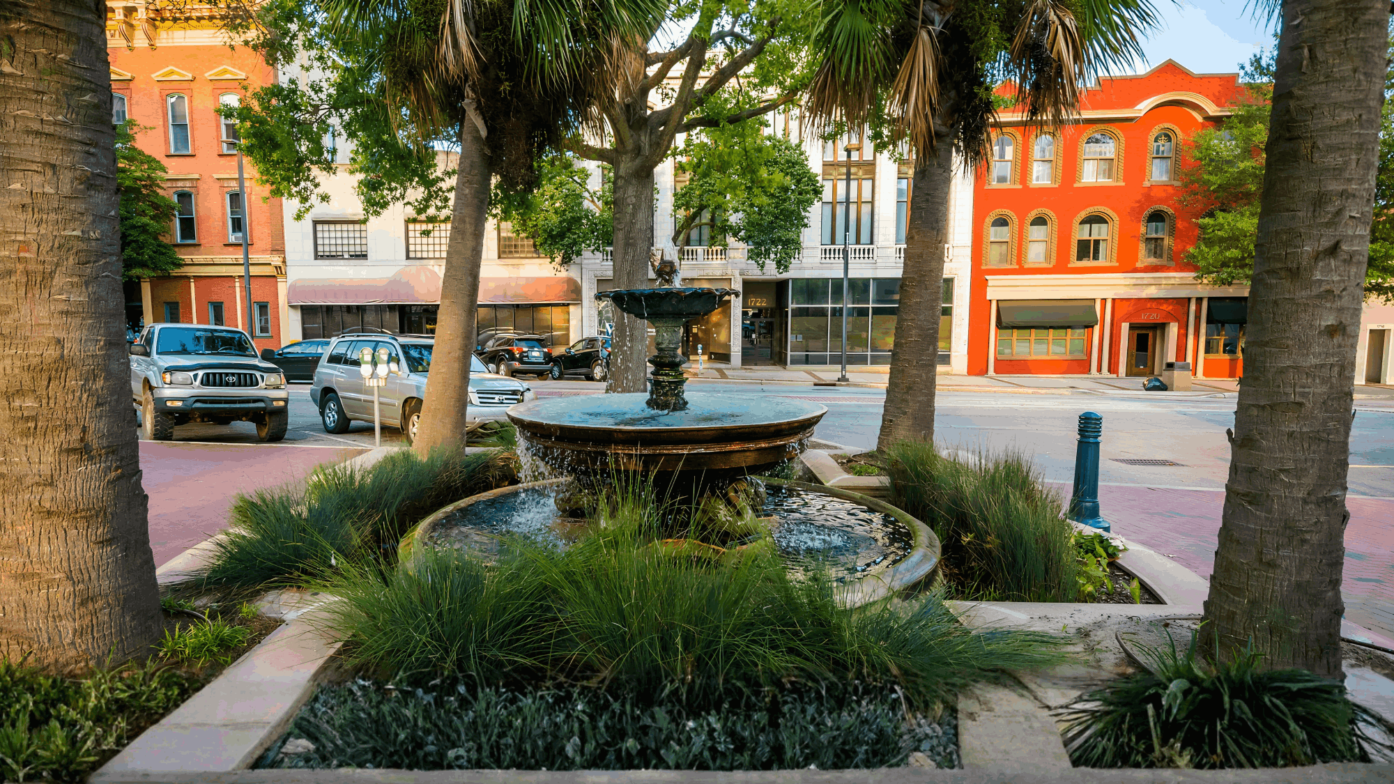 tzedi-co-south-carolina-realty