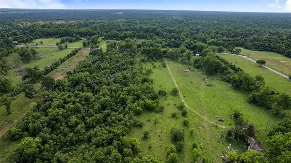 6202 County Road 42, Rosharon, TX 77583