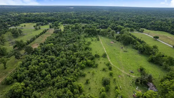 6202 CR 42, Rosharon, TX 77583