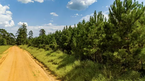 0 Nursery RD, Livingston, TX 77351