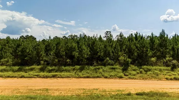 0 Nursery RD, Livingston, TX 77351