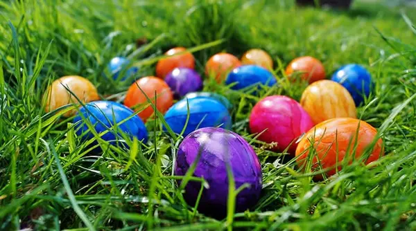  What’s Happening This Weekend: Easter Egg Scramble at Bossier City Farmers Market! ,Jenni McCarty