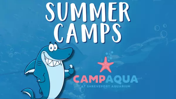 Dive into Summer Fun at Camp Aqua 2025!