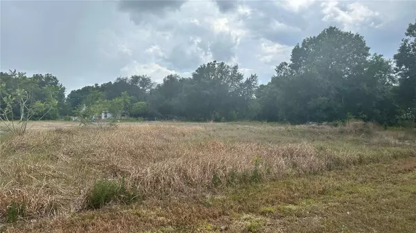 2915 W LANETT RD, Avon Park, FL 33825