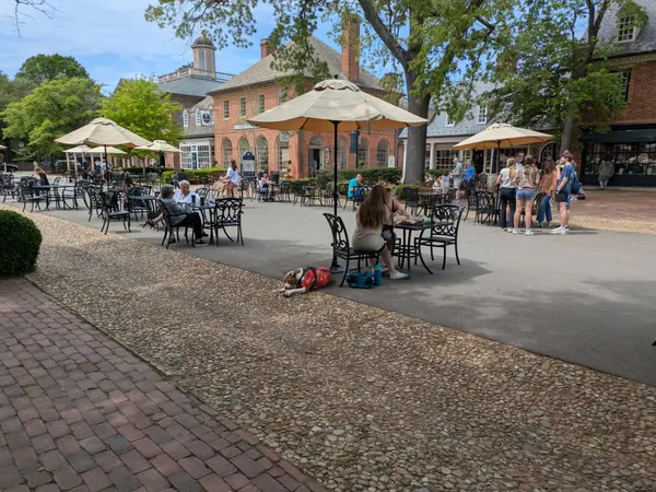 Where to Live in Williamsburg VA: Neighborhoods & Lifestyle Guide
