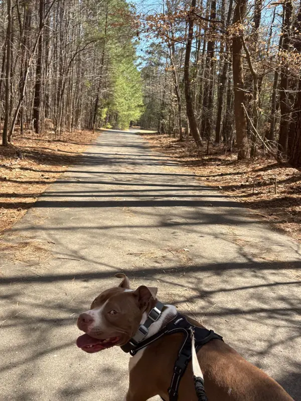 Spring Outdoor Adventures in Williamsburg VA: Parks, Trails & Local Events