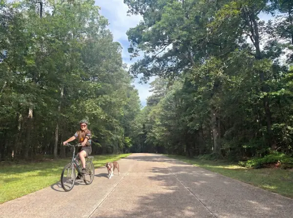 Colonial Parkway Reopens for Summer | Scenic Drive in Williamsburg, VA,Lisa Hatcher