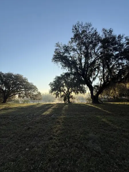 Johns Island