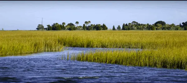 Dewees Island: A True Nature Sanctuary