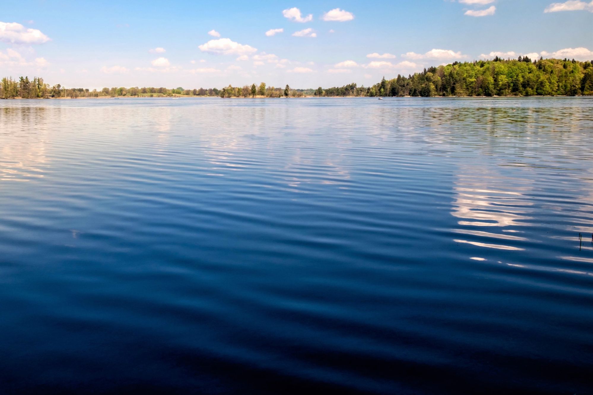 Alexandria Lakes Area