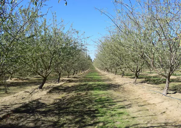 4610 Oakdale RD, Winton, CA 95388