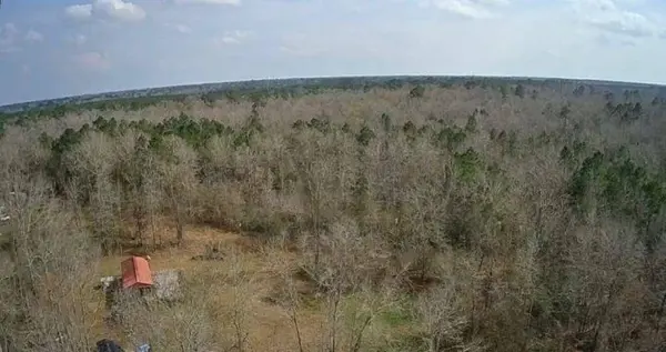 TBD CR 3107, Call, TX 75933