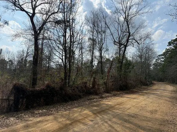 TBD CR 3107, Call, TX 75933