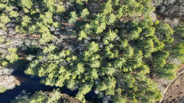 81 Deerfield Drive, Sterling, CT 06373