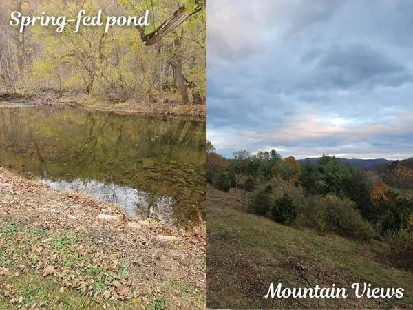 TBD Boyd RD, Draper, VA 24324