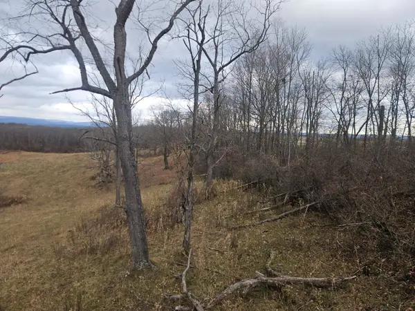 TBD Boyd RD, Draper, VA 24324