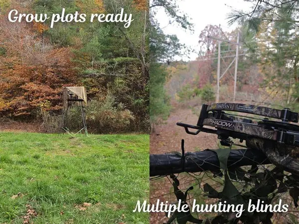 TBD Boyd RD, Draper, VA 24324