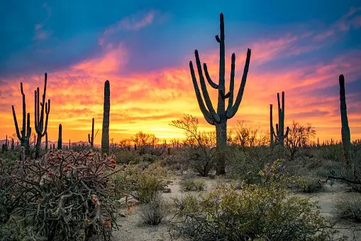 Why Arizona is a Great Place to Live