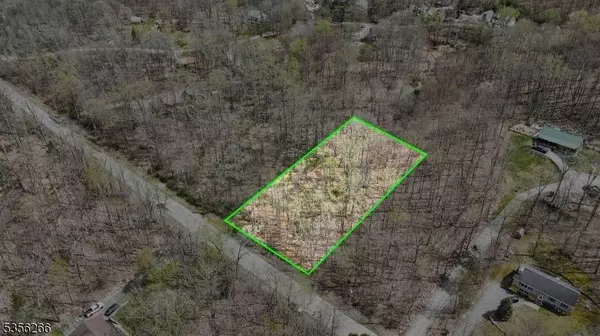 11 Oak Ridge Rd, Montague Twp., NJ 07827