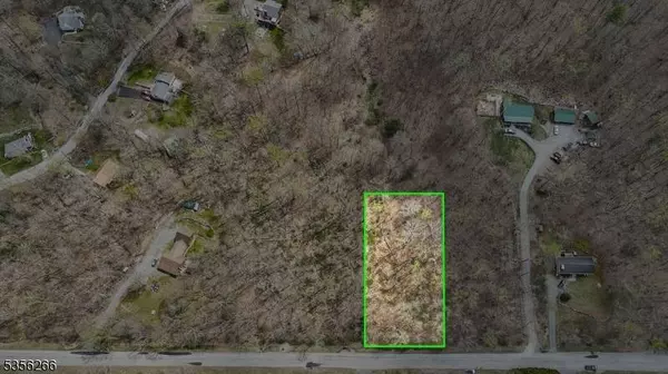 11 Oak Ridge Rd, Montague Twp., NJ 07827