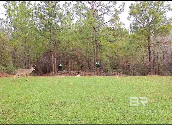 58979 Jack Springs Road, Perdido, AL 36562