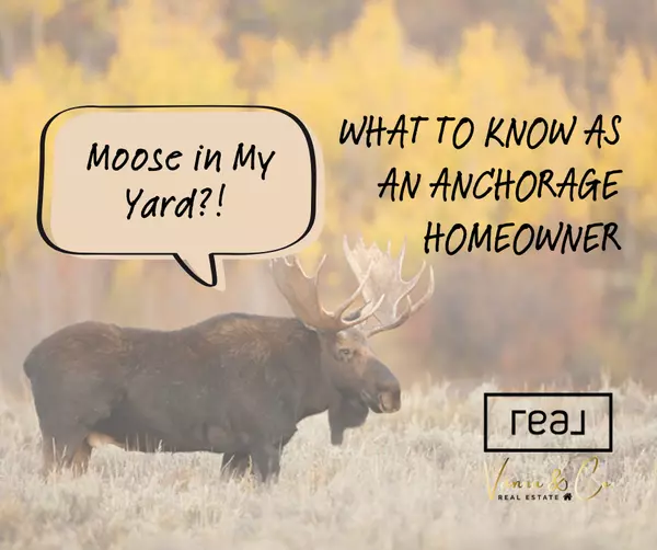 Moose in My Yard?! What to Know as an Anchorage Homeowner