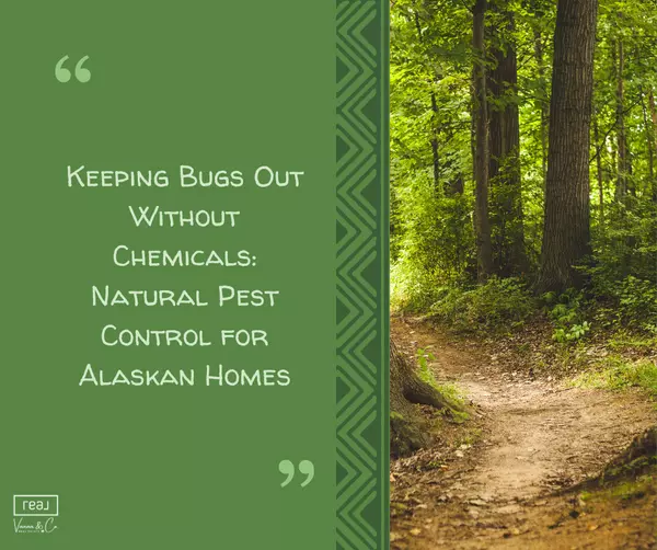 Keeping Bugs Out Without Chemicals: Natural Pest Control for Alaskan Homes