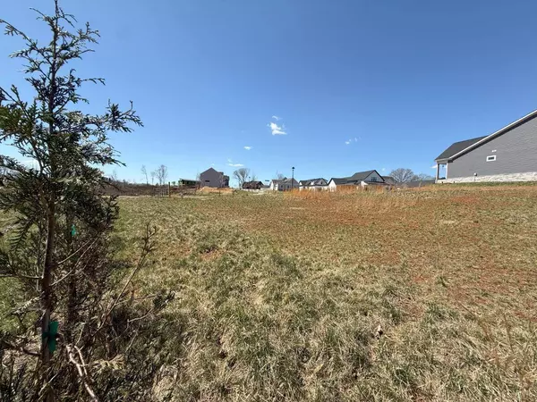 202 Waughs Landing DR, Lynchburg, VA 24503