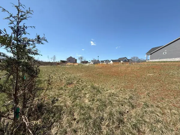 202 Waughs Landing DR, Lynchburg, VA 24503