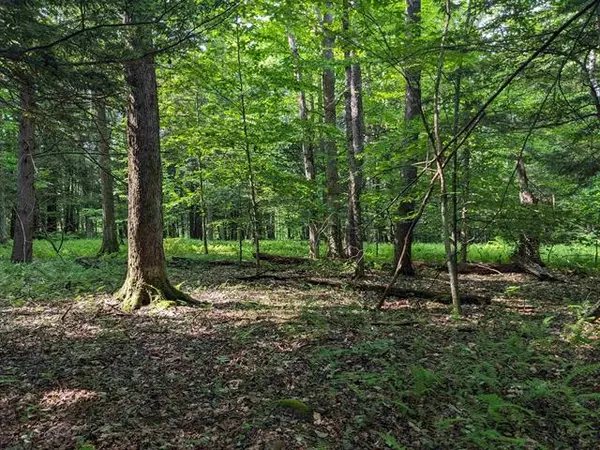 Clarendon, VT 05759,East St