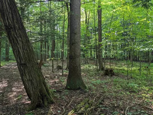 Clarendon, VT 05759,East St