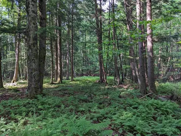 Clarendon, VT 05759,East St