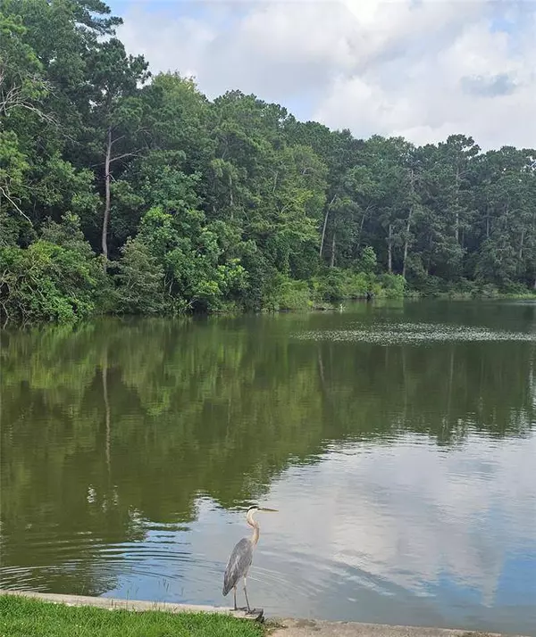 58 Altwood DR, Coldspring, TX 77331