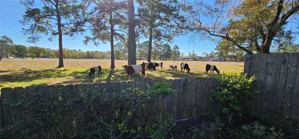 14207 Julington LN, Cypress, TX 77429