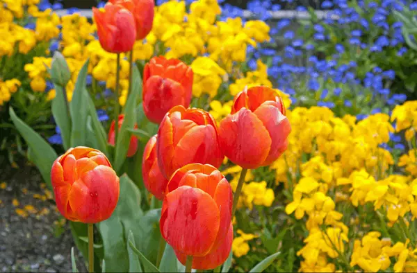 Spring Surge: Why Now Is Still a Great Time For Your Home to Bloom (List Your Home)