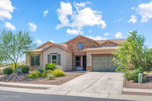 11787 N Silver Desert Dr