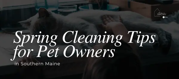 Spring Cleaning Tips for Pet Owners in Southern Maine: A Simple Checklist,Kim Tarbox