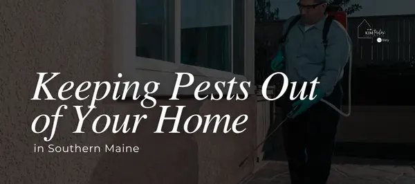 Keeping Pests Out of Your Home in Southern Maine