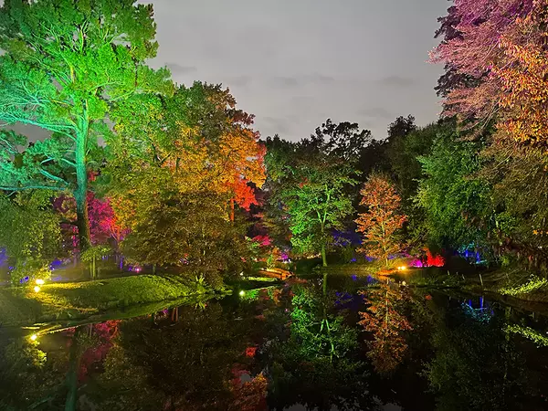 feature image of Local Life in RVA: Explore Garden Glow at Maymont