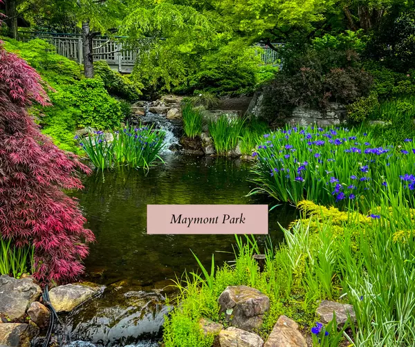 Top 10 Things to Do in the Greater Richmond Area,Jen Orth