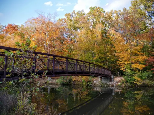  Fall in RVA Hits Different: Your 2025 Guide to Autumn Activities in Greater Richmond,Jen Orth