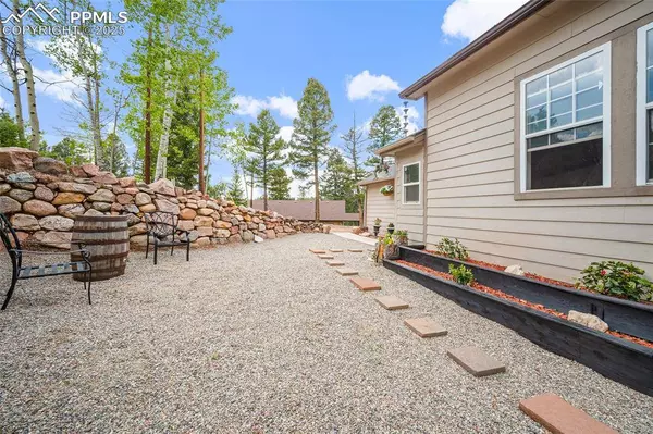 127 Badger Lake CIR, Divide, CO 80814