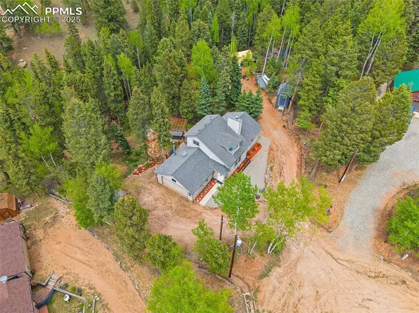 127 Badger Lake CIR, Divide, CO 80814