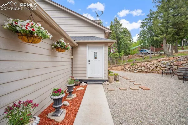 127 Badger Lake CIR, Divide, CO 80814