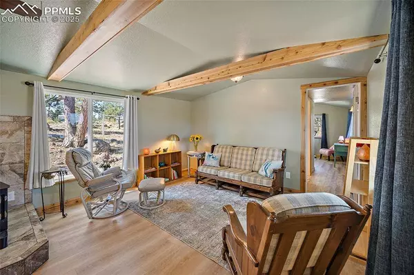 55 Arapahoe DR, Florissant, CO 80816