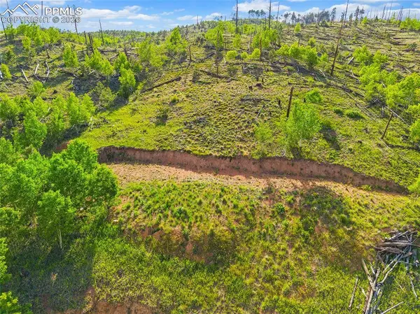 77 Lakeview CIR, Florissant, CO 80816