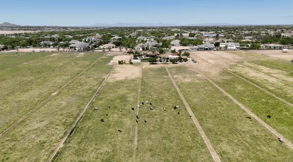 Queen Creek Is Growing… But You Can Still Find That Real “Country” Feel,Jessica Vukobratovich