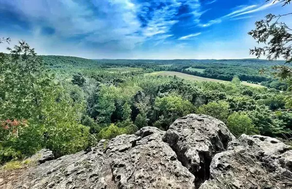 Weekend Wander: Hidden Trails and Scenic Walks Near Collingwood and Thornbury