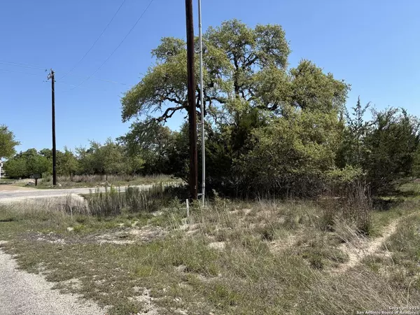 LOT 371 Nicholas Weeks, Blanco, TX 78606
